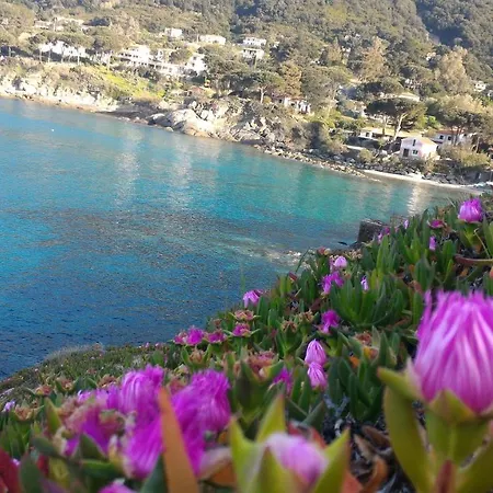Bed & Breakfast Dei Limoni Sant'Andrea (Isola d'Elba)