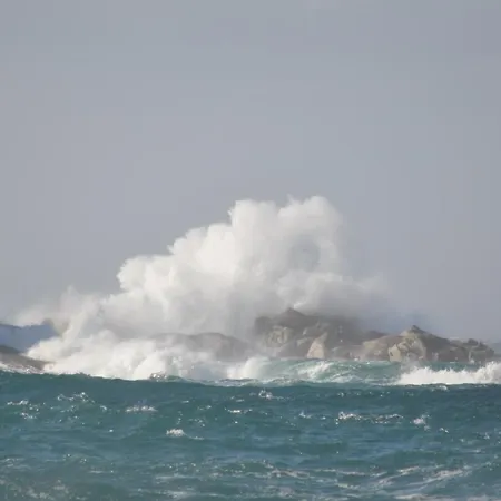 Dei Limoni * Sant'Andrea (Isola d'Elba)